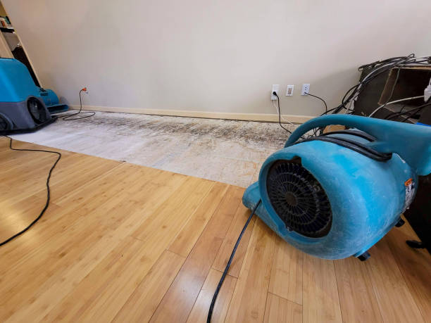 Professional Ceiling Water Damage Repair technician working in New Munich, MN