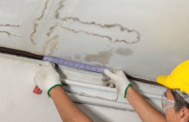 Affordable Ceiling Water Damage Repair solutions in New Munich, MN